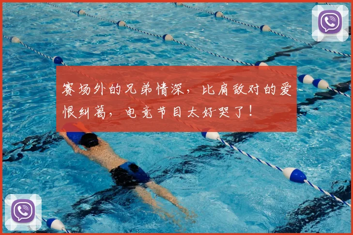 赛场外的兄弟情深,比肩敌对的爱恨纠葛,电竞节目太好哭了!