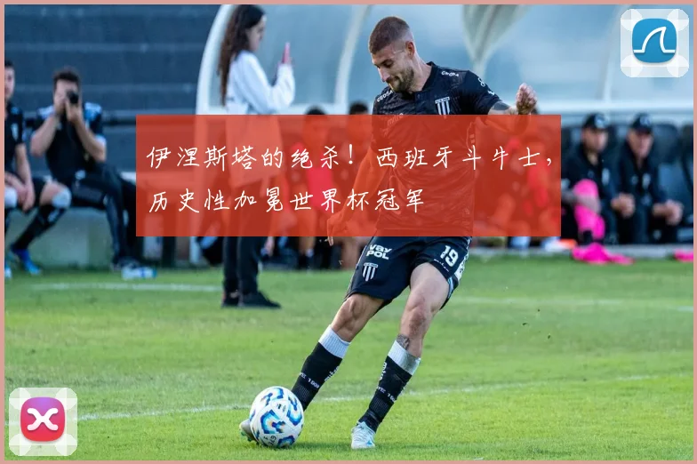 伊涅斯塔的绝杀！西班牙斗牛士，历史性加冕世界杯冠军