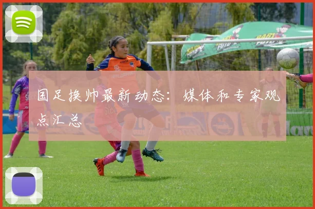 国足换帅最新动态:媒体和专家观点汇总