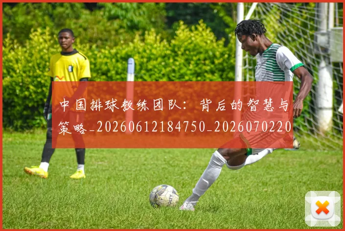 中国排球教练团队:背后的智慧与策略_20260612184750_20260702202349