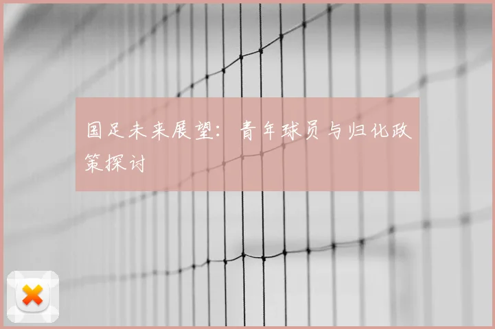 国足未来展望：青年球员与归化政策探讨
